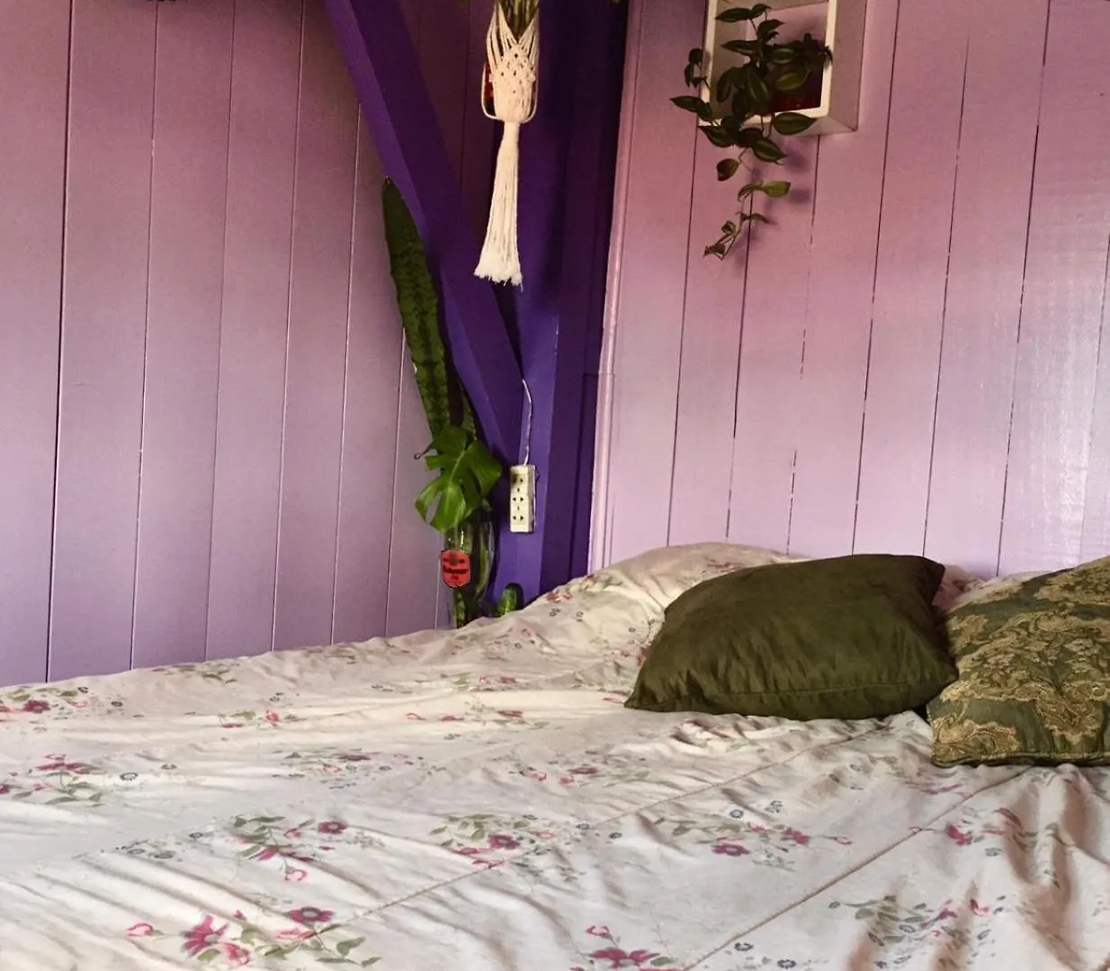 Homestay Hostel Espiral Florianopolis Brazil